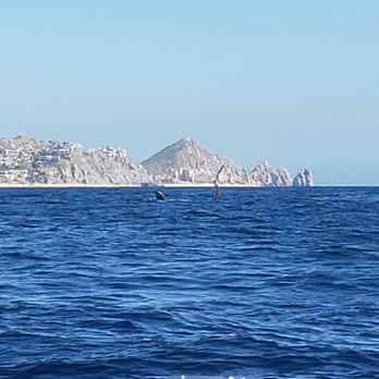 Cabo Adventures - 1.19.2020 - Boat Tours Near Me - Cabo San Lucas, BCS
