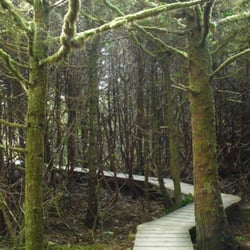 Spruce Fringe Trail