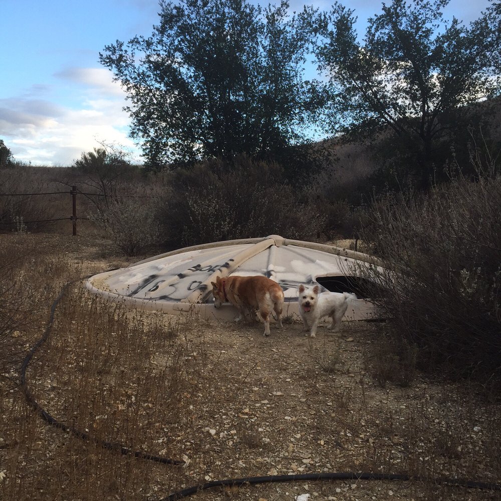Cheeseboro and Palo Comado Canyon - What the hell is this, Mom, a buried UFO? - Hiking Near Me - Agoura, California Cheeseboro and Palo Comado Canyon - What the hell is this, Mom, a buried UFO? - Hiking Near Me - Agoura, California
