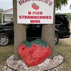 Diederich's Berry & Produce Farm - Photo area