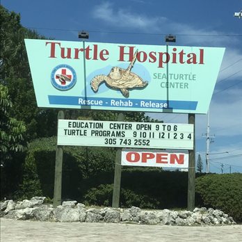 The Turtle Hospital - Veterinarians Near Me - Marathon, Florida The Turtle Hospital - Veterinarians Near Me - Marathon, Florida