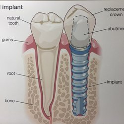Joel Klimek D.M.D