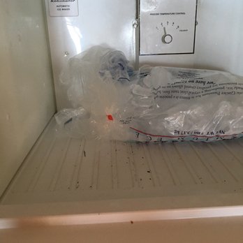 Birch Bay Getaway - Opened bag of ice and some debris in the freezer - Vacation Rentals Near Me - Blaine, Washington