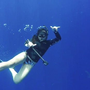 One Ocean Diving - Free Diving Near Me - Haleiwa, Hawaii