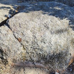 Goat Mountain Trail