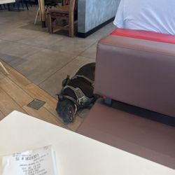 McDonald's - The dog just chilling..