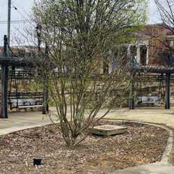 Elizabeth Park