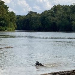 Watermelon Park Campground - River and my dogs :)