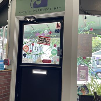 Bajah's Cat Cafe - exit at Bajah's Cat Cafe - Cafes Near Me - Tiverton, Rhode Island