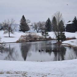 WorldMark Wolf Creek