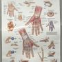 Photo of Able Hands Rehab