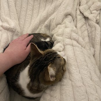 Oregon Humane Society - Animal Shelters Near Me - Portland, Oregon Oregon Humane Society - Animal Shelters Near Me - Portland, Oregon