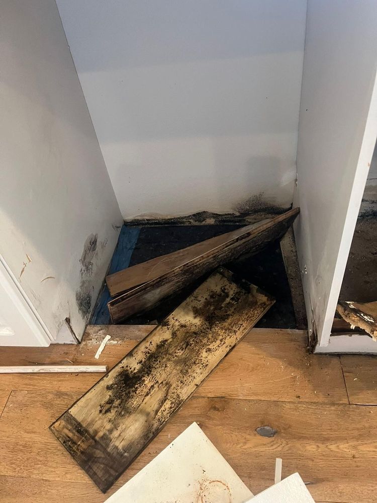 Environmental Testing PRO ENVIRONMENTAL TESTING Updated October 2024