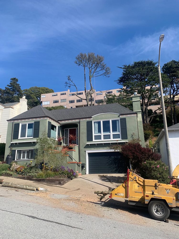 Timberwood Tree Service - tree service in San Francisco, CA