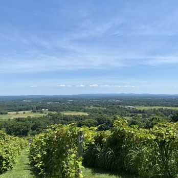 Bluemont Vineyard - Venues & Event Spaces Near Me - Bluemont, Virginia Bluemont Vineyard - Venues & Event Spaces Near Me - Bluemont, Virginia