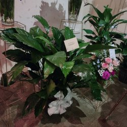 Fort Thomas Florists & Greenhouses - Most of the flowers at my uncle's funeral were from Ft. Thomas Florist. They were absolutely beautiful!!!