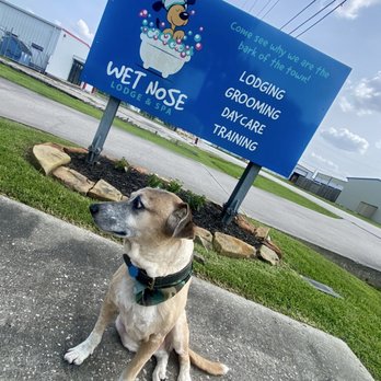 Wet Nose Lodge & Spa - Come see why they are the bark of the town! - Pet Groomers Near Me - Humble, Texas Wet Nose Lodge & Spa - Come see why they are the bark of the town! - Pet Groomers Near Me - Humble, Texas
