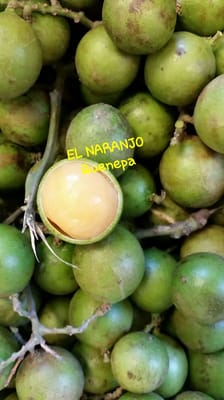 El Naranjo by null