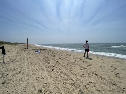 Long Point Wildlife Refuge by null