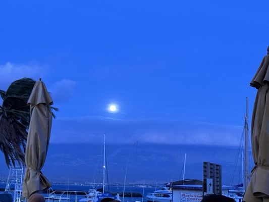 Havens Harborside Fish & ChopHouse by null