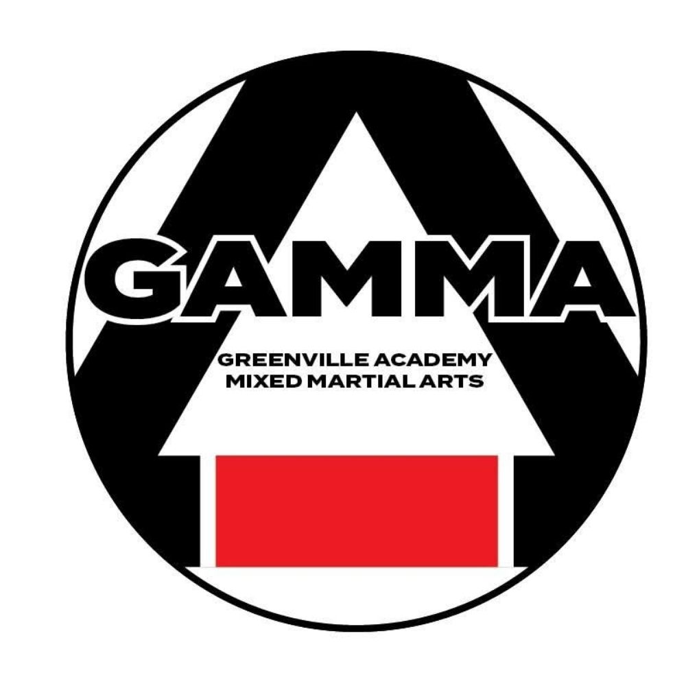 All-American Martial Arts Academy Logo