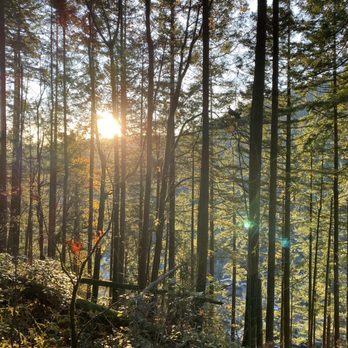 Poo Poo Point - Chirico Trail - Hiking Near Me