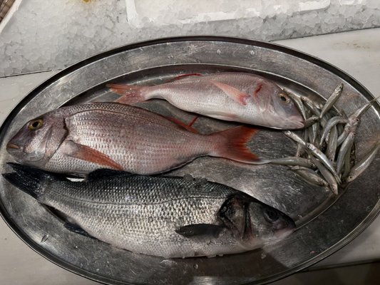 estiatorio Milos Hudson Yards by null