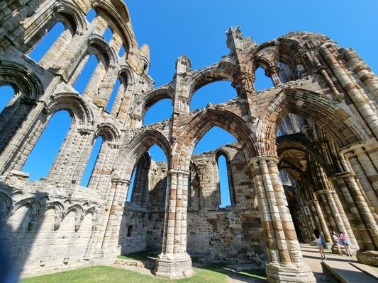 Whitby Abbey by null