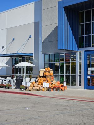 Whole Foods Market by null