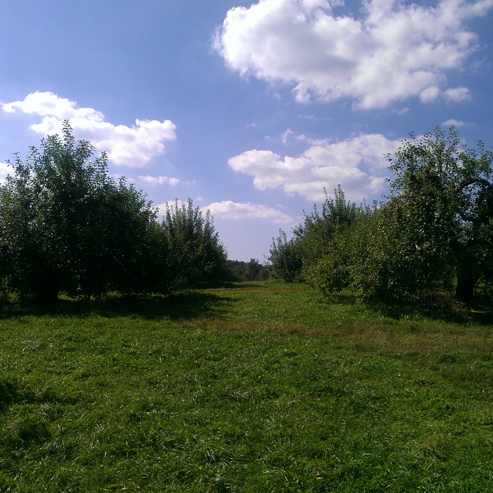Apple Dave’s Orchards - Fruits & Veggies Near Me - Warwick, New York
