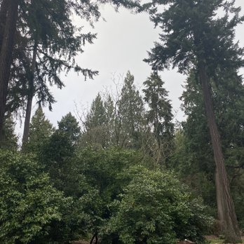 Washington Park Arboretum - Parks Near Me - Seattle, Washington Washington Park Arboretum - Parks Near Me - Seattle, Washington