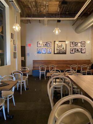 Four Humours by null