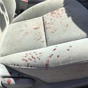 All Tails Are Wagging Pet Grooming - Blood on seat of my car from my dog being cut e we hole being groomed - Pet Groomers Near Me - West Warwick, Rhode Island All Tails Are Wagging Pet Grooming - Blood on seat of my car from my dog being cut e we hole being groomed - Pet Groomers Near Me - West Warwick, Rhode Island