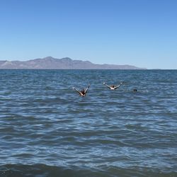 Great Salt Lake Marina - Where's everyone else?
