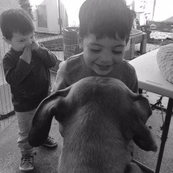 Clarin Child Care LB - My boys playing in the back yard with Mavis the protector. - Child Care & Day Care Near Me - Long Beach, California Clarin Child Care LB - My boys playing in the back yard with Mavis the protector. - Child Care & Day Care Near Me - Long Beach, California