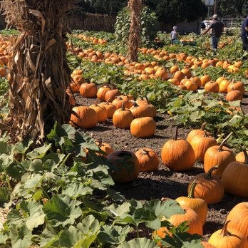 Lane Farms - Fruits & Veggies Near Me - Santa Barbara, California