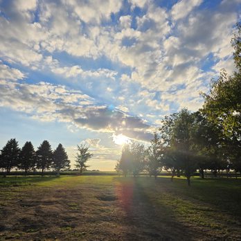 TM Horse Haven - Horseback Riding Near Me - Tolono, Illinois TM Horse Haven - Horseback Riding Near Me - Tolono, Illinois