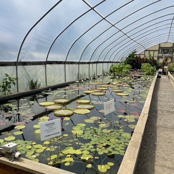 Hughes Water Gardens - Nurseries & Gardening Near Me - Tualatin, Oregon