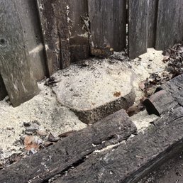 Removed tree butted up against my fence. Removed tree butted up against my fence.