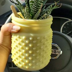 Alamo Vintage Market - Zebra Haworthia in a modern hobnail glass jar with a patina. Looks like a lil pineapple ^_^