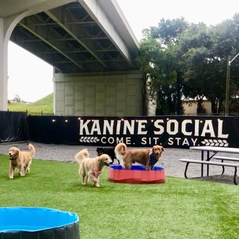 Kanine Social - Bars Near Me - Jacksonville, Florida