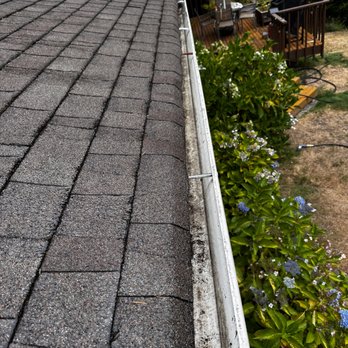 Four Grizzlies Home Solutions - Pressure Washers Near Me Four Grizzlies Home Solutions - Pressure Washers Near Me