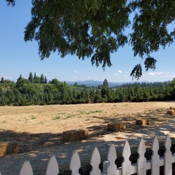 Boa Vista Orchards - Fruits & Veggies Near Me - Placerville, California