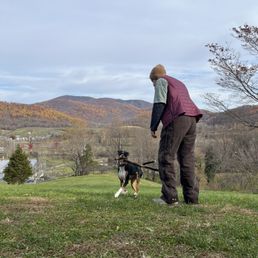 Outside the dog-friendly hilltop lodge with our pup, Tatum