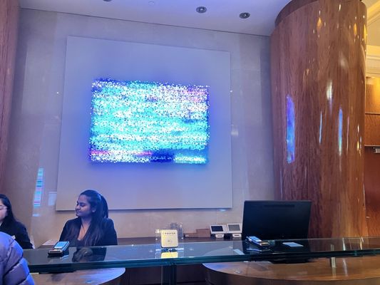 SoHo Hotel Toronto by null