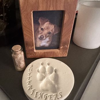 Paws Into Grace - Photo box urn, fur clipping, paw print - Pet Hospice Near Me Paws Into Grace - Photo box urn, fur clipping, paw print - Pet Hospice Near Me