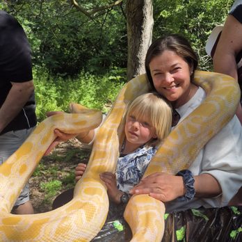 For Goodness Snakes - Performing Arts Near Me