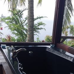 Hamakua Hideaway Cliffhouse - The open views in the jacuzzi room are amazingly serene