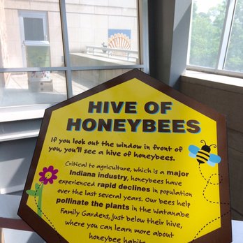 Indiana State Museum - Hive of honeybees - Museums Near Me - Indianapolis, Indiana Indiana State Museum - Hive of honeybees - Museums Near Me - Indianapolis, Indiana