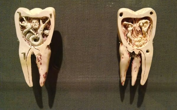 Dr. Samuel D. Harris National Museum of Dentistry by null
